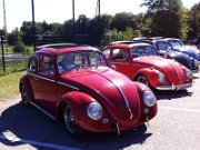 Beetle Show Rioz (36)